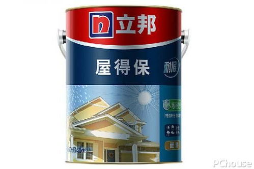 家裝涂料選購(gòu)指南 網(wǎng)購(gòu)注意事項(xiàng)與熱門品牌推薦