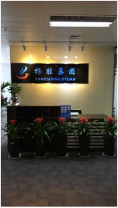揚勝集團 擁抱“互聯網+”浪潮，以信息技術服務為企業發展助力護航